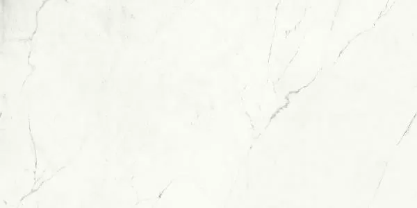 Керамогранит VANITY BIANCO LUCE Touch 60x120