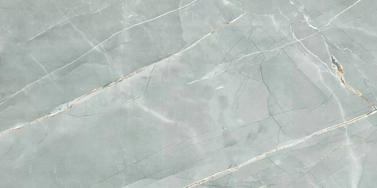 Керамогранит R_PR2019 William Grey Polished 60x120