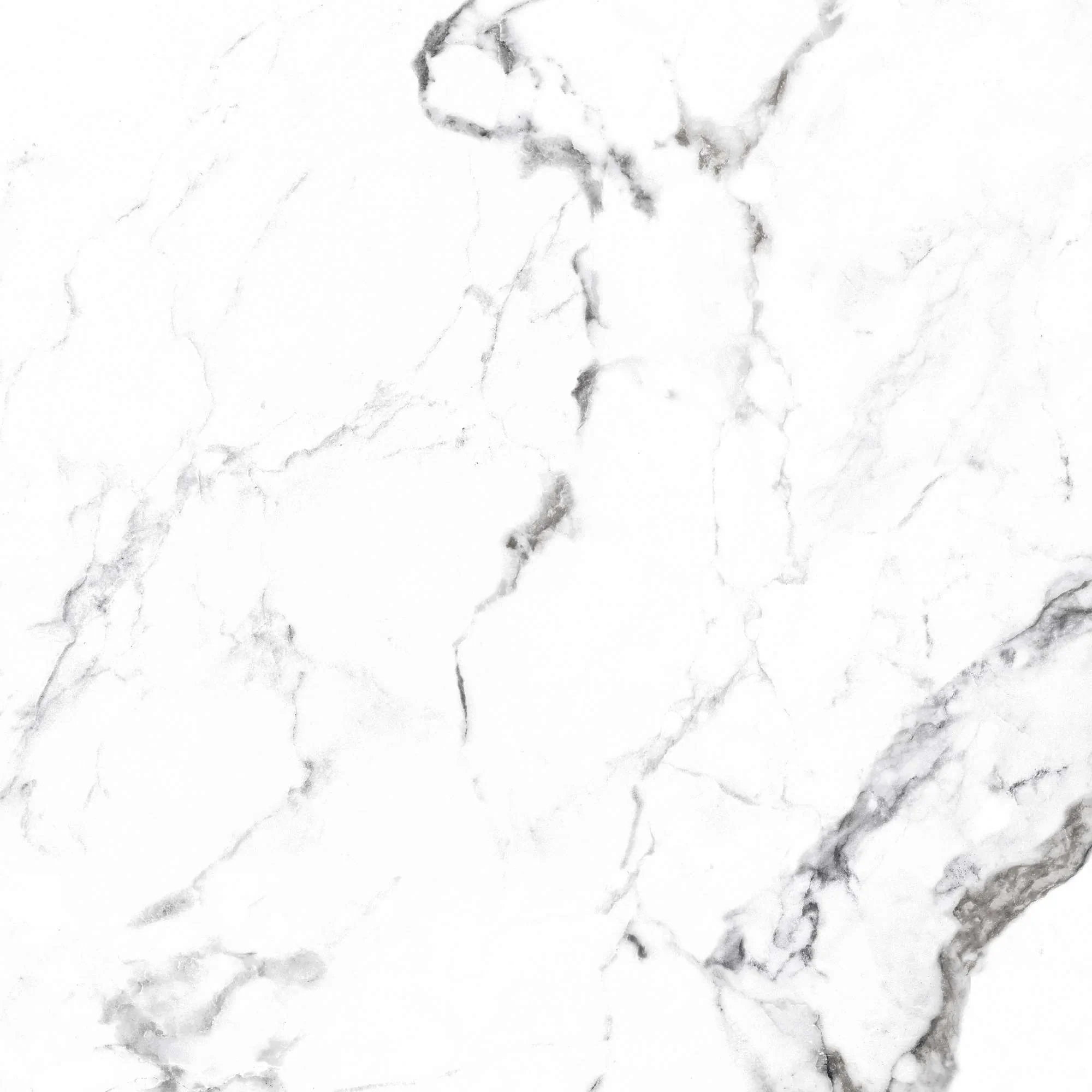 Керамогранит CR4006-A Borghini Silver Carving 60x60