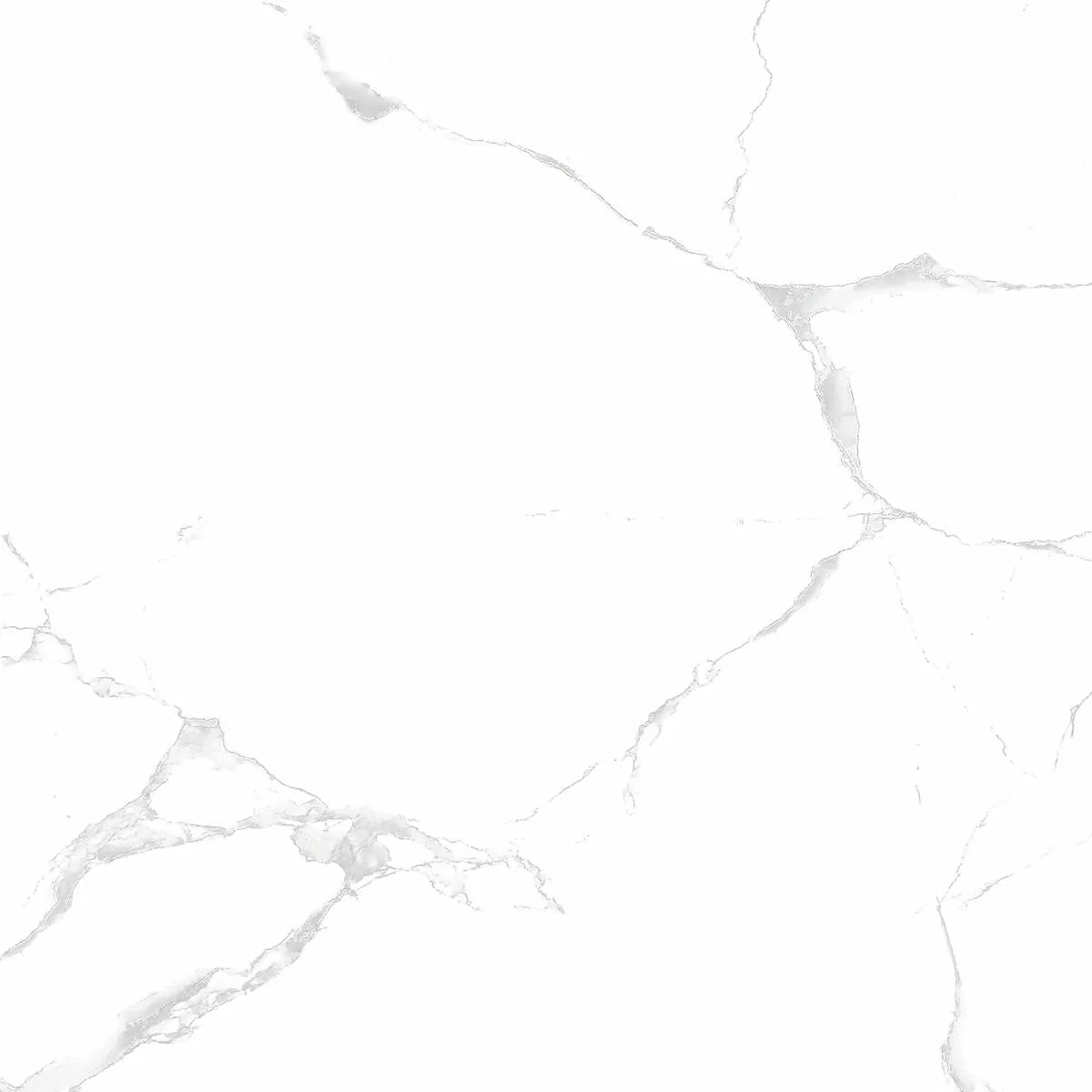 Керамогранит Silver white PGVT 60x60