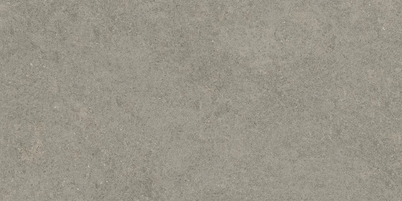 Керамогранит 610010005821 Forte dei Marmi Rock Lunar Grey Matt Rett 60x120