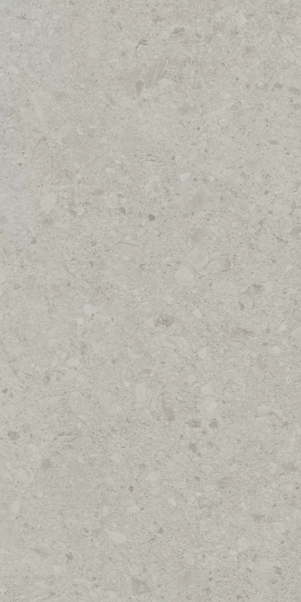 Керамогранит DD507620R Чеппо ди Гре серый светлый матовый обрезной 60x119,5x0,9