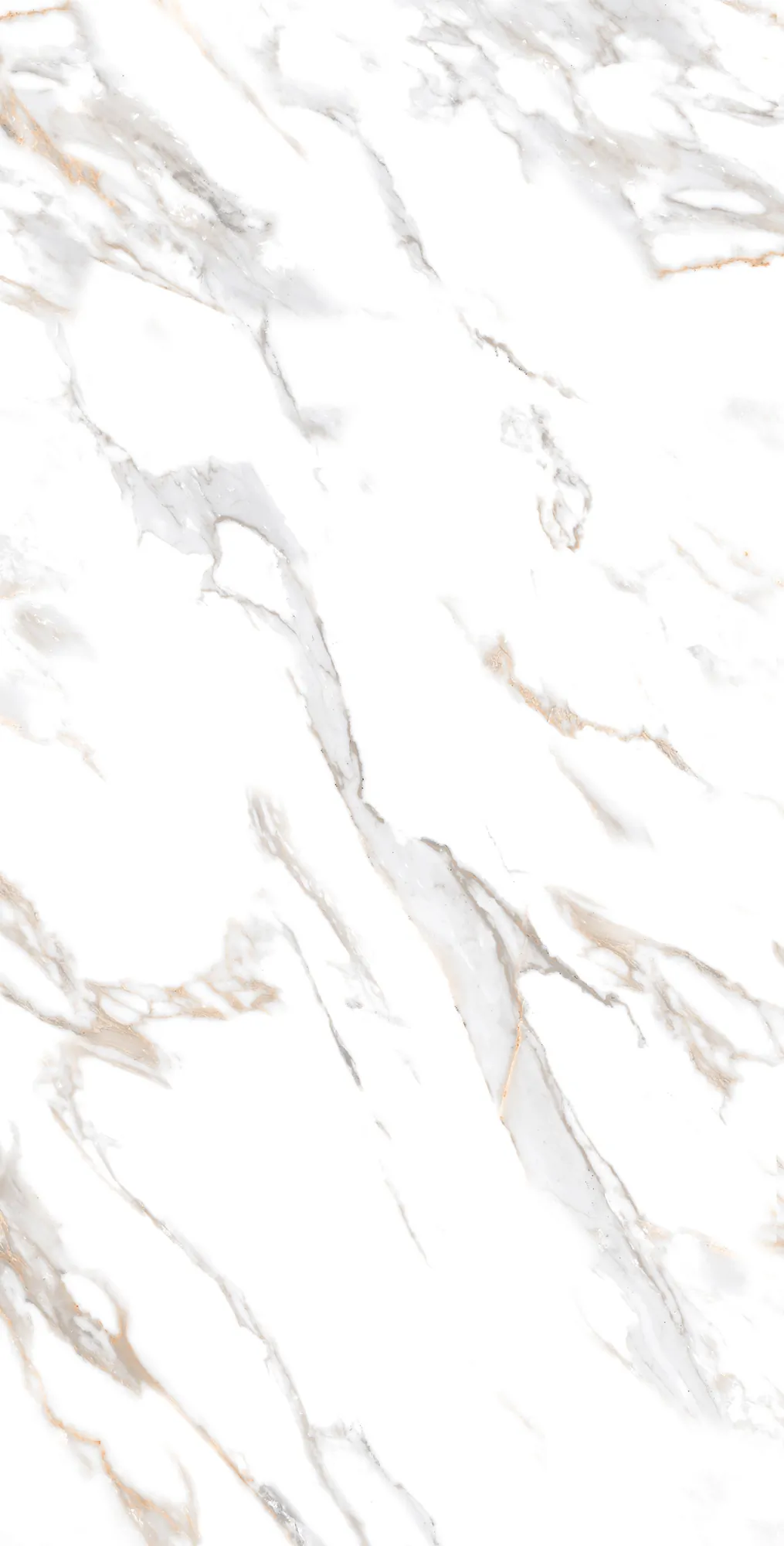 Керамогранит CR4019-A Calacatta Gold Carving 60x120