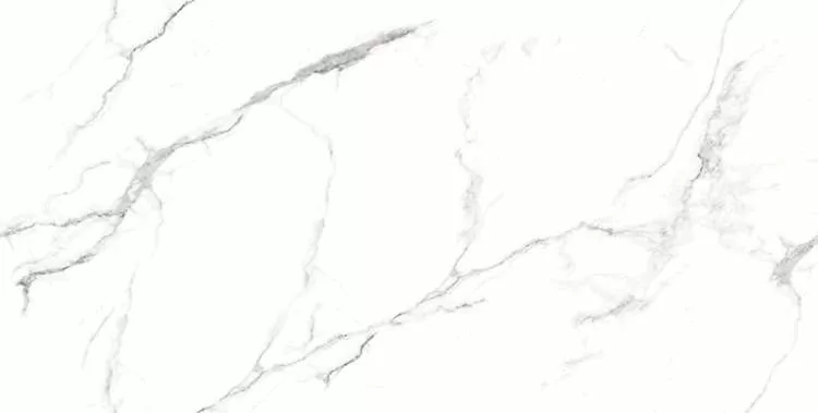 Керамогранит Glorious White Sugar 60x120