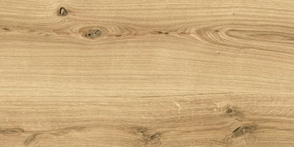 Керамогранит C-WS4O112D Woodhouse коричневый 29,7х59,8