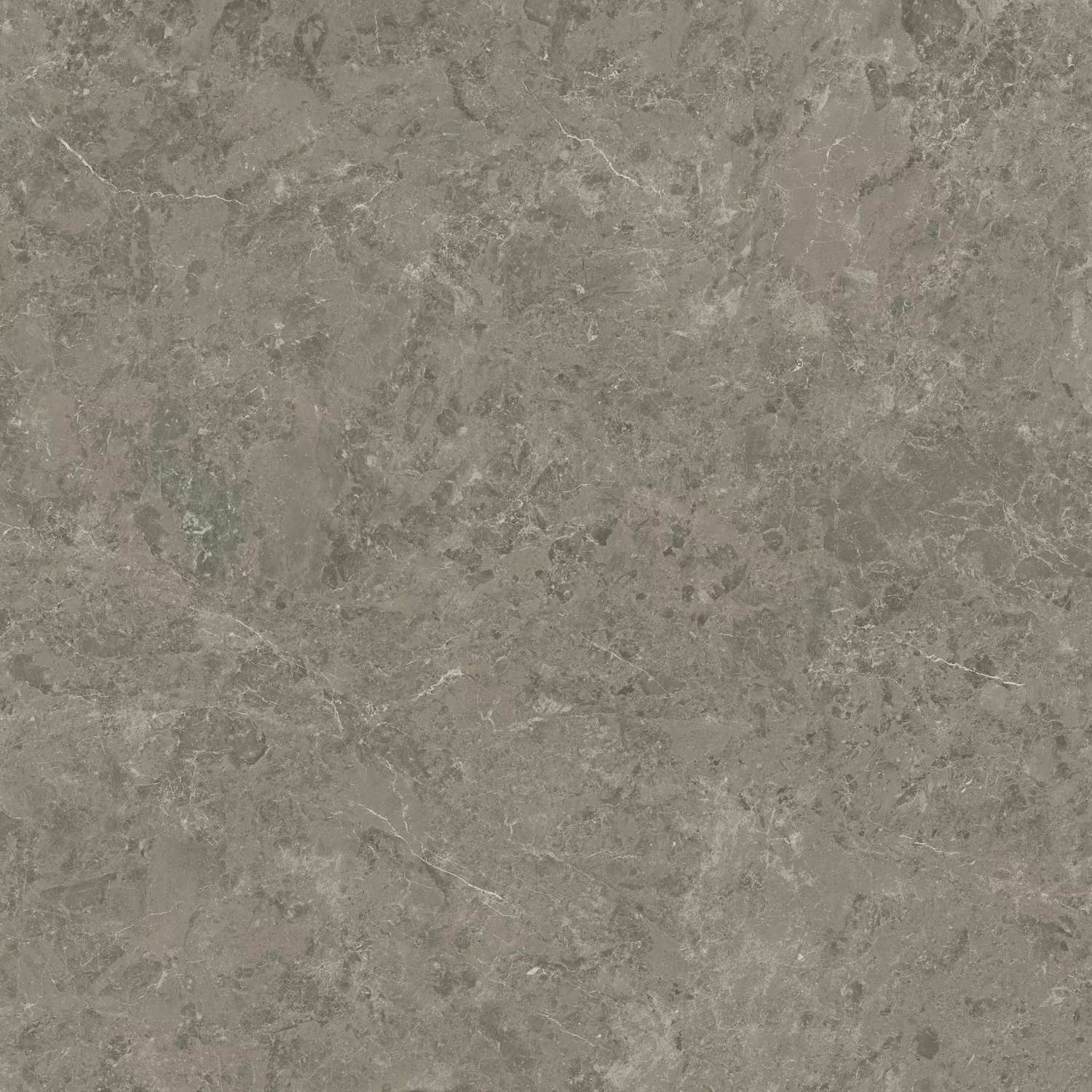 Керамогранит AJIF Marvel Meraviglia Grigio Elegante Lapp. 120x120