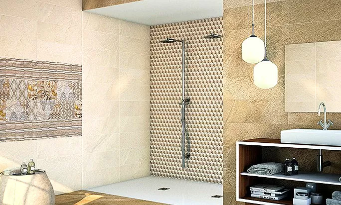 Плитка DECOR GRIS LINEAL LIVING 25x75