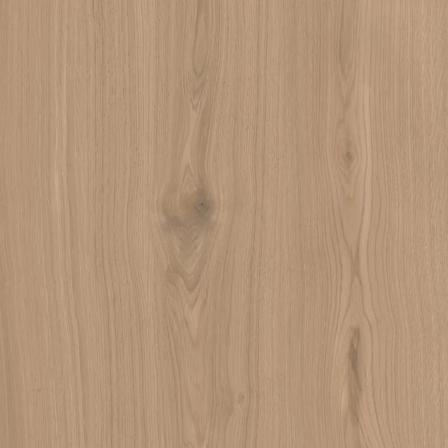 Керамогранит SG643620R Альберони бежевый матовый обрезной 60x60x0,9