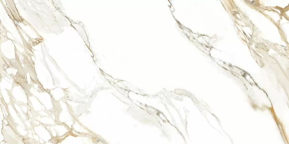 Керамогранит Calacata Paonazzo 1200x600