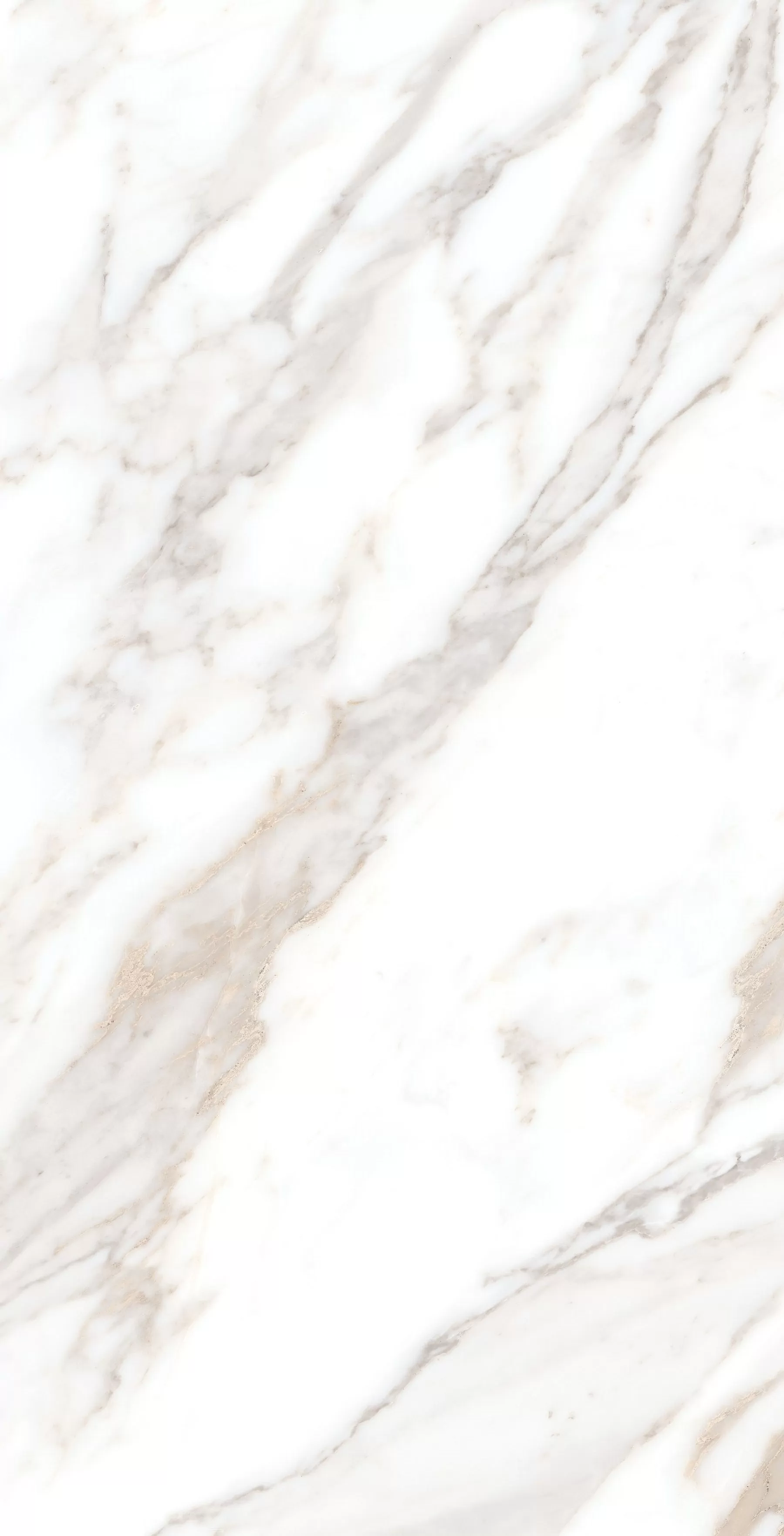 Керамогранит Calacatta Borghini Sugar 60х120