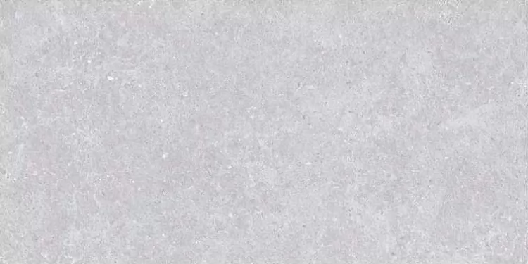 Керамогранит SE9544M50 Lasko Light Gray Semi Polish Rect 60х120