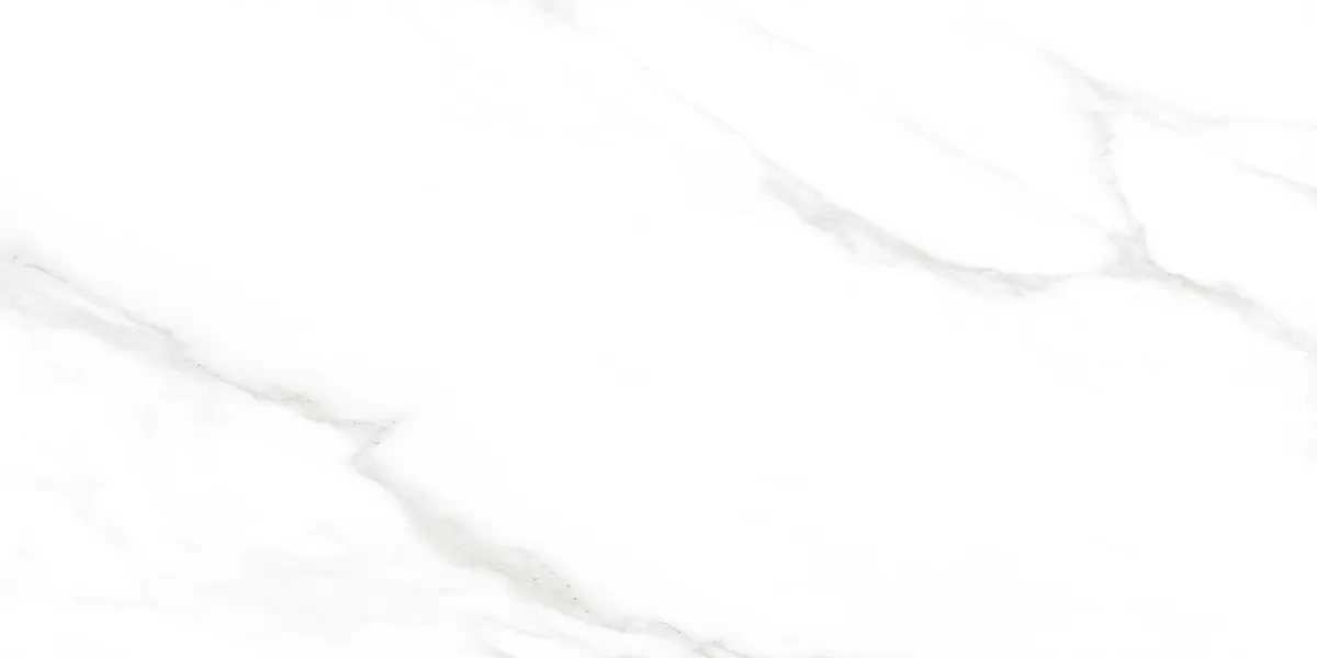Керамогранит Carrara Excellent Silver Белый Матовый 60х120