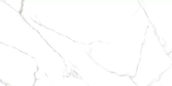 Керамогранит GFU60120CRR00R Carrara 60х120