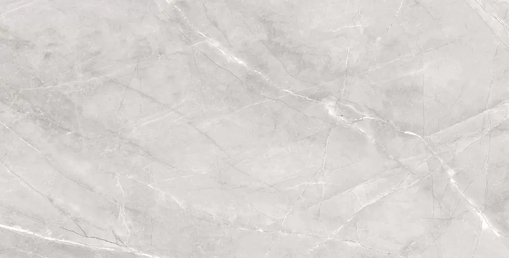 Керамогранит Silk Armani Silver Matt 60x120