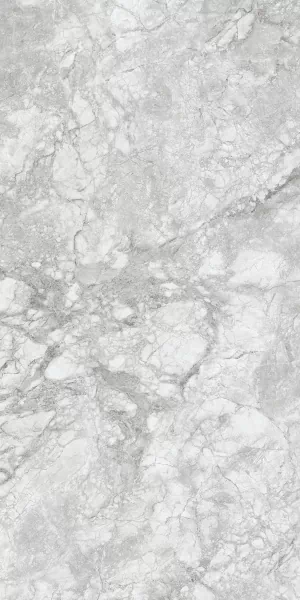 Керамогранит 230167 Polar Grey Polished 60x120