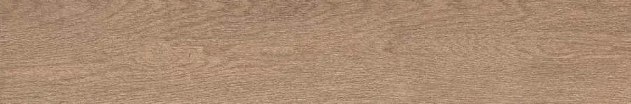 Керамогранит F4506M Forest Сhestnut Matt 20x120