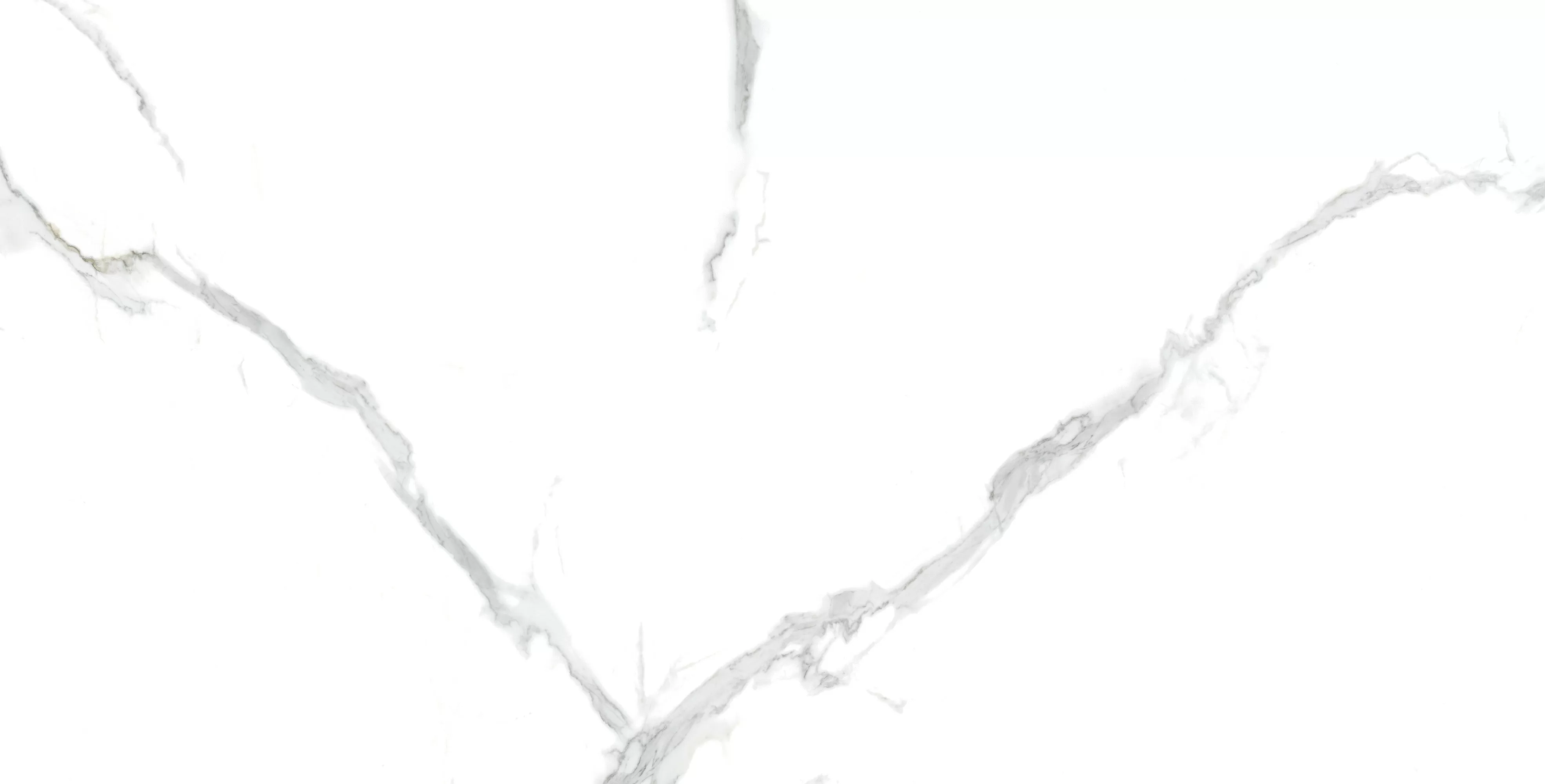 Керамогранит Statuario PGVT 60x120