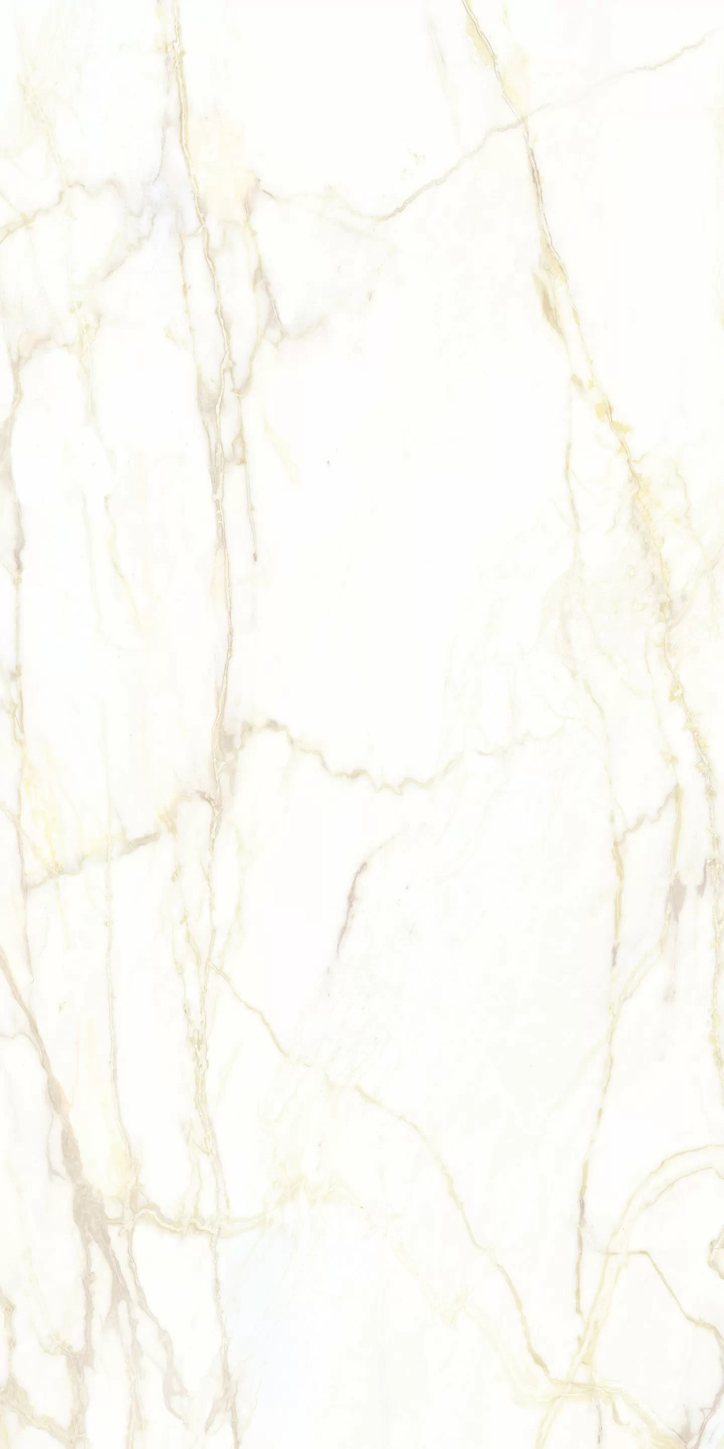 Керамогранит 769423 Chimera Empatia Bianco Mat Ret 6mm 120x240