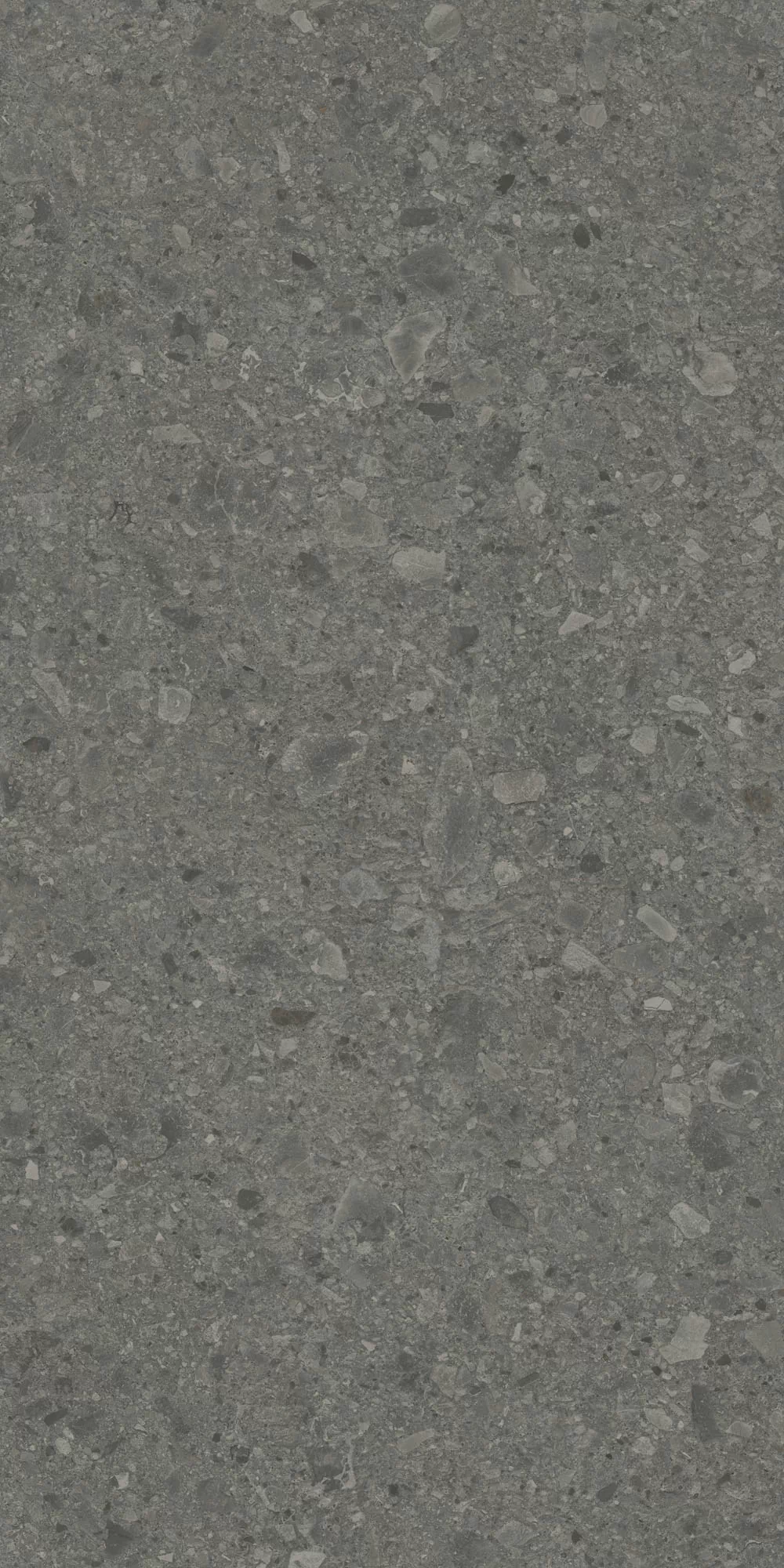 Керамогранит DD508020R Чеппо ди Гре антрацит матовый обрезной 60x119,5x0,9