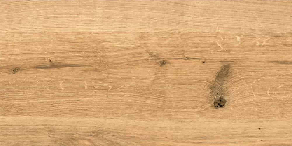 Керамогранит C-WS4O112D Woodhouse коричневый 29,7х59,8