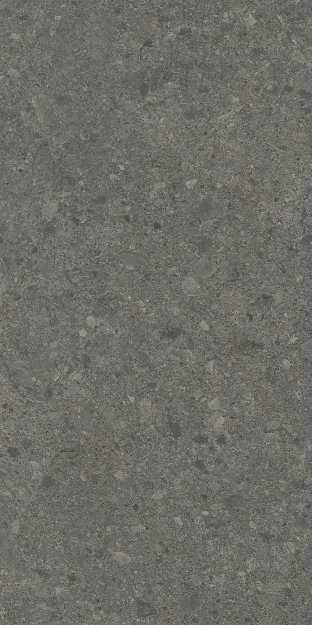 Керамогранит DD508020R Чеппо ди Гре антрацит матовый обрезной 60x119,5x0,9