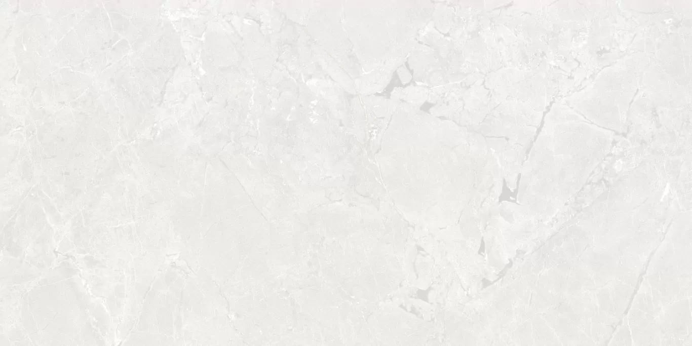 Керамогранит Neeko White 60x120