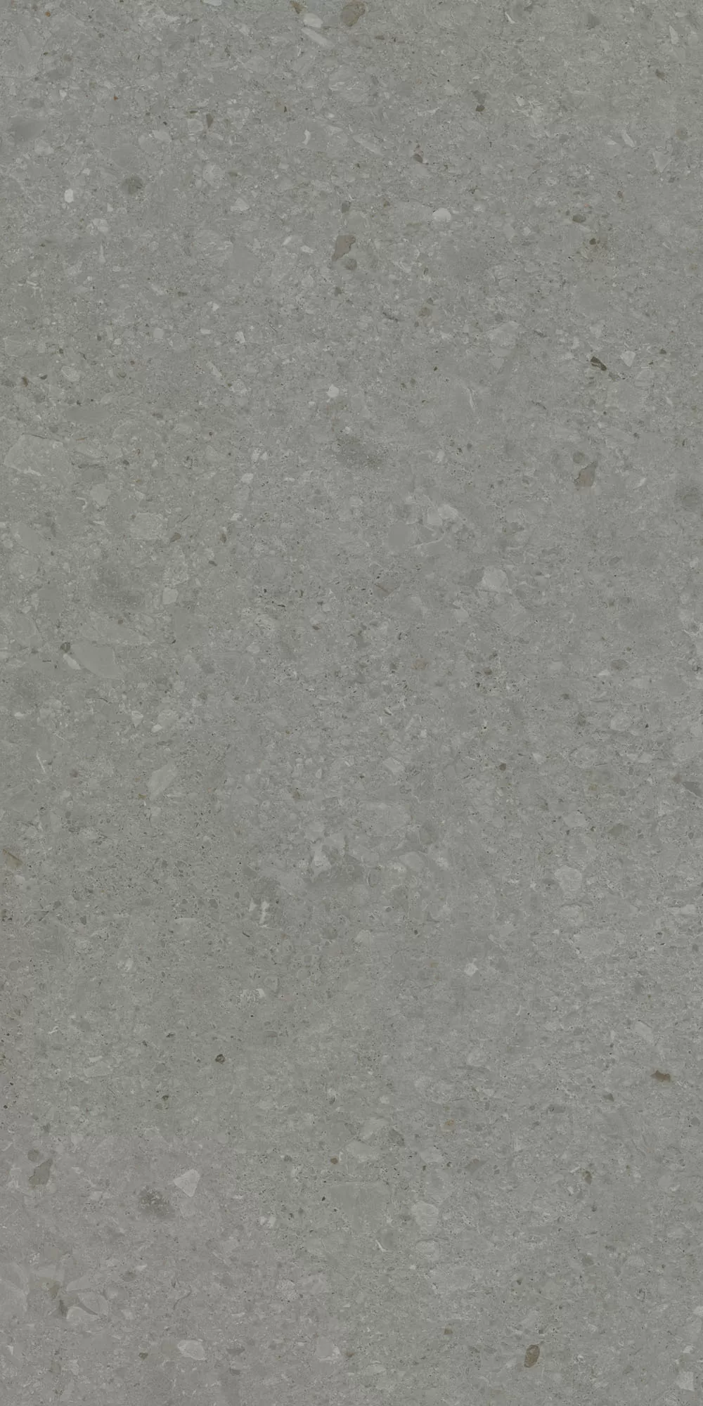 Керамогранит DD591520R Чеппо ди Гре серый тёмный матовый обрезной 119,5x238,5x0,9