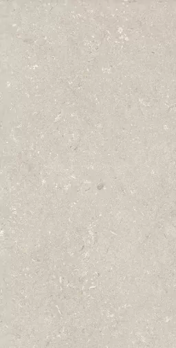 Керамогранит 005486 Shellstone Beige 60x120