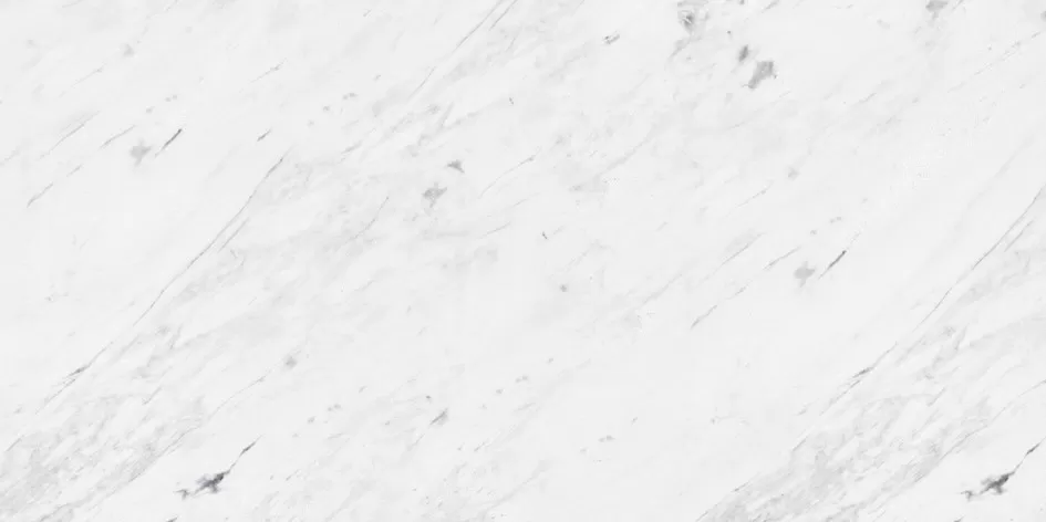 Плитка L108025891 PERSIAN WHITE Сlassico Bioprot 40x80