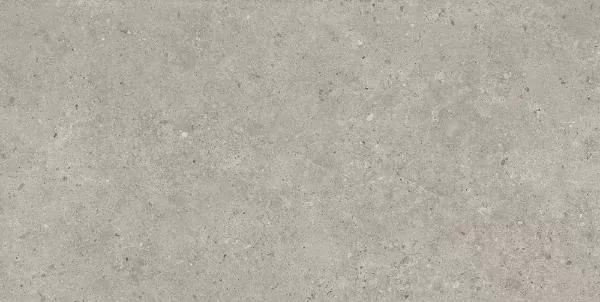 Керамогранит SG519920R Риккарди серый светлый матовый обрезной 60х119,5
