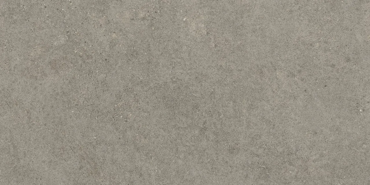 Керамогранит 610010005821 Forte dei Marmi Rock Lunar Grey Matt Rett 60x120