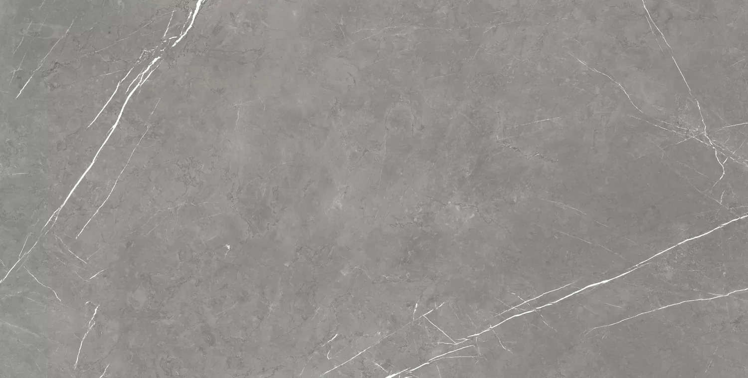 Керамогранит 610015000665 Forte dei Marmi Elegant Grey Lapp 80x160