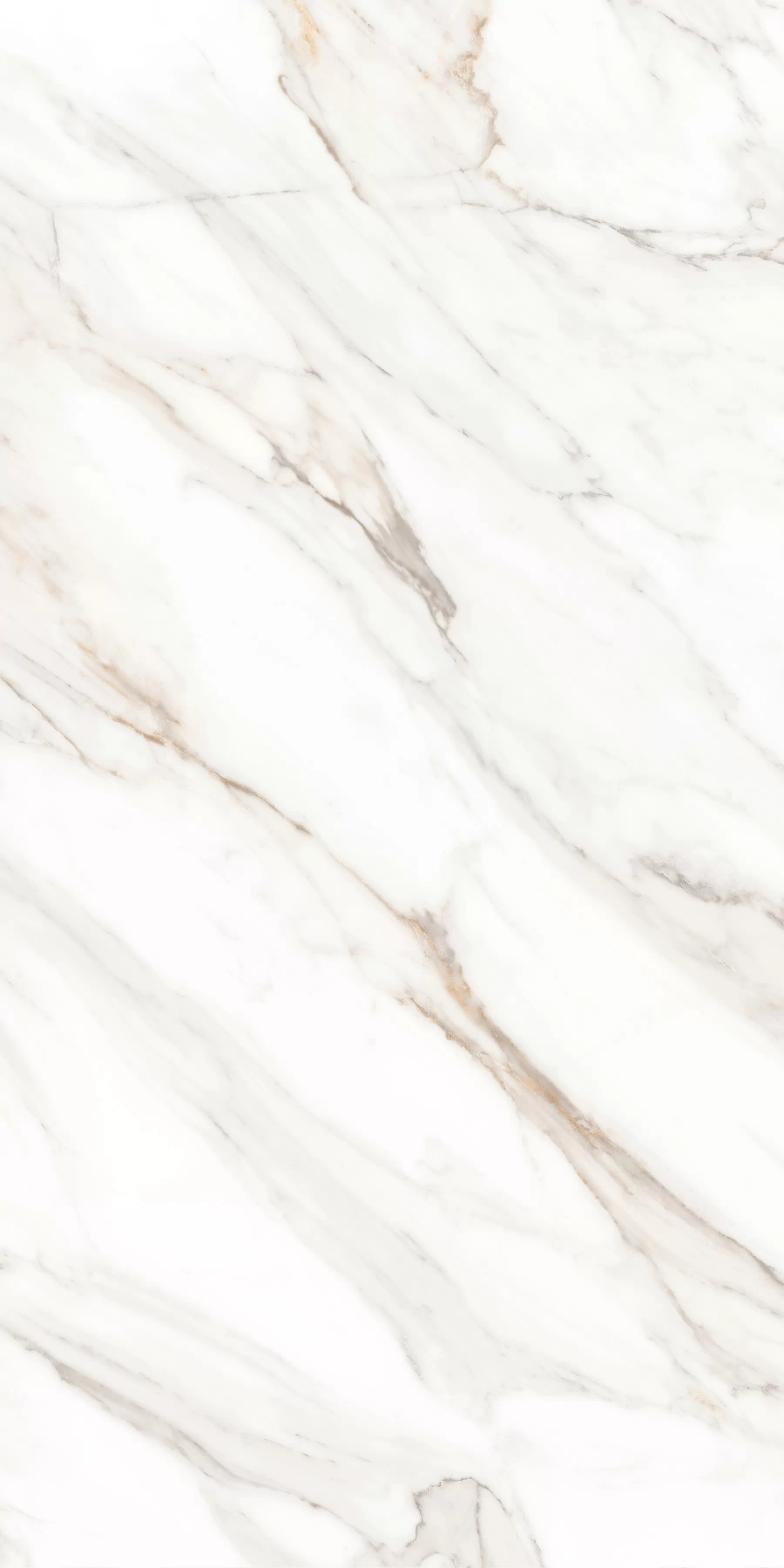 Керамогранит MPL-058630 Calacatta Gold Satin 60x120