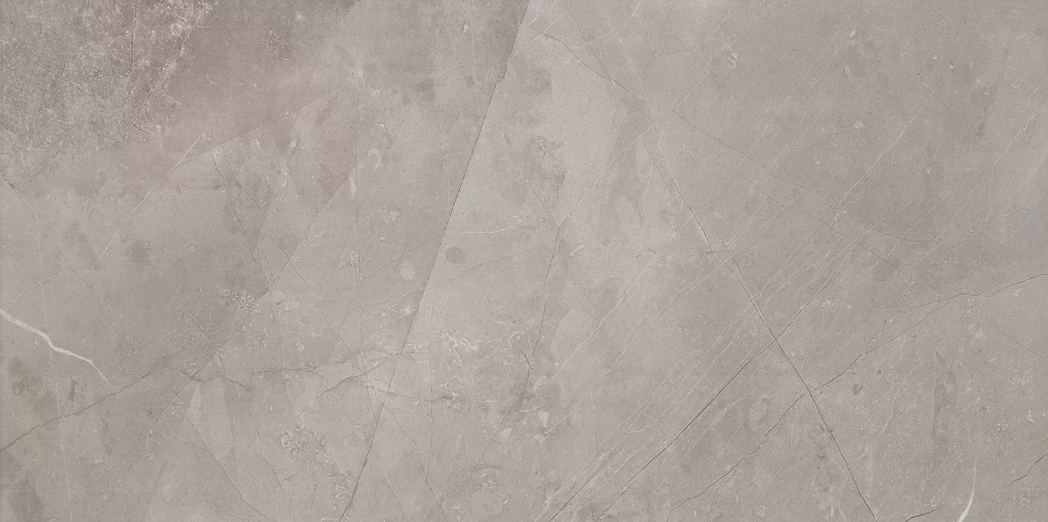 Плитка W- Muse Silver 29.8x59.8