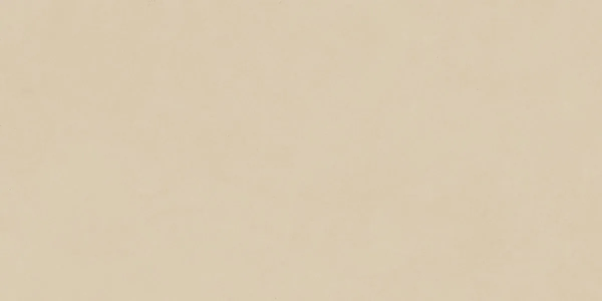Керамогранит N12042 Blossom Ivory Matt 60x120