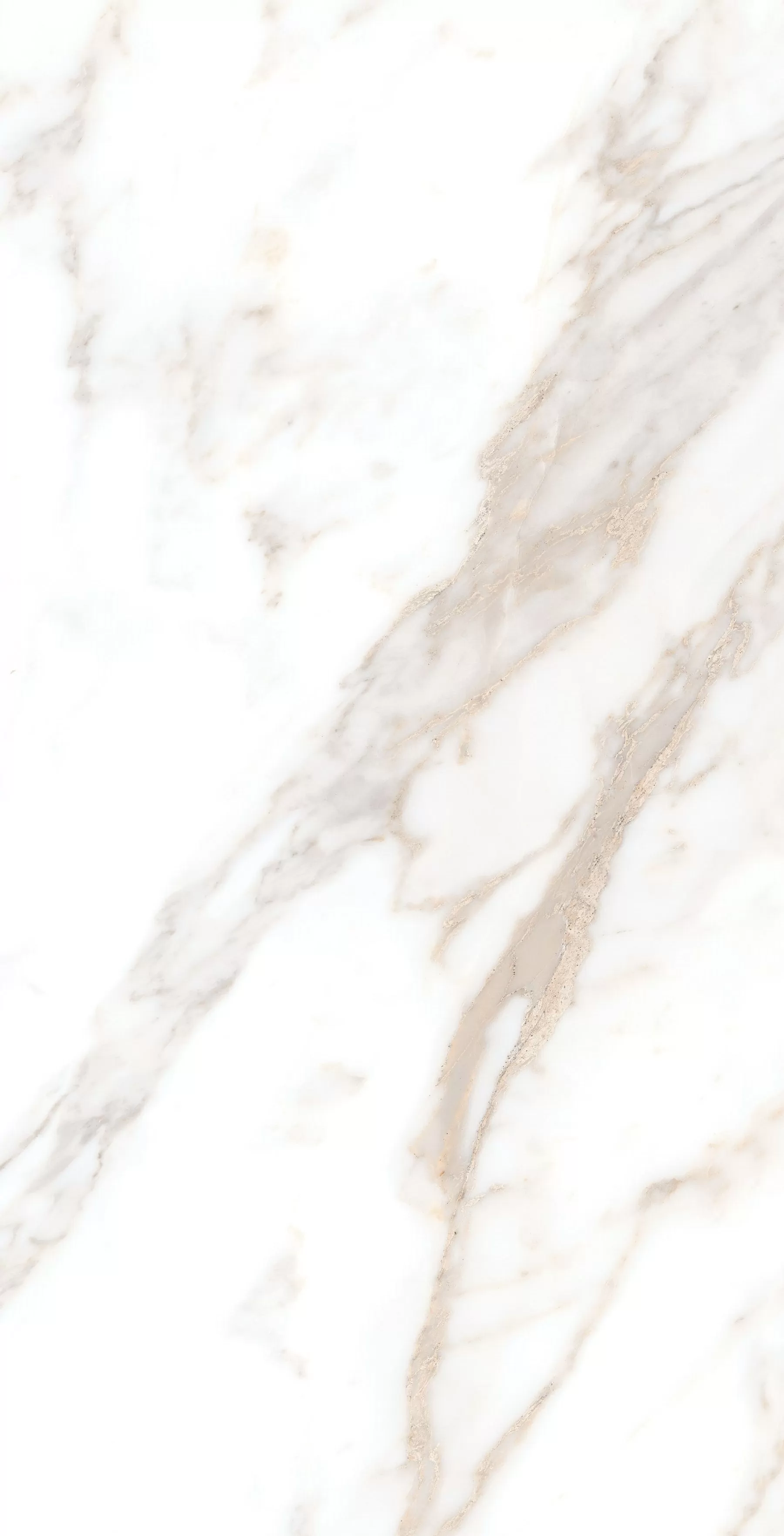 Керамогранит Calacatta Borghini Sugar 60х120