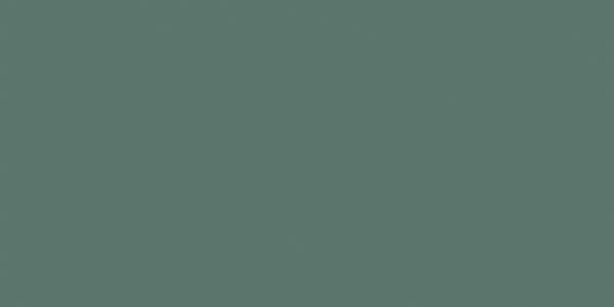 Керамогранит N90004 Leaf Matt 60x120