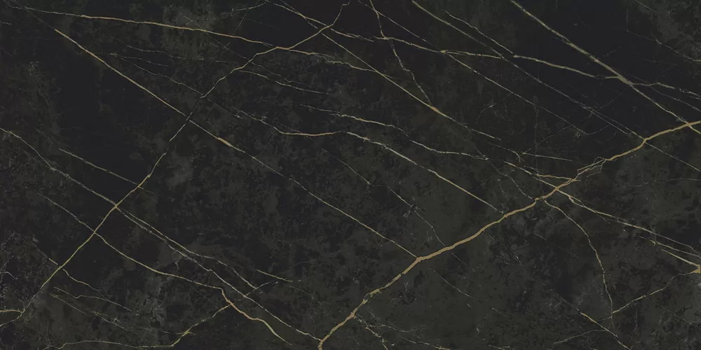 Керамогранит Granite SANDRA Black Olive / Гранит Сандра черно-оливковый LLR 120x60