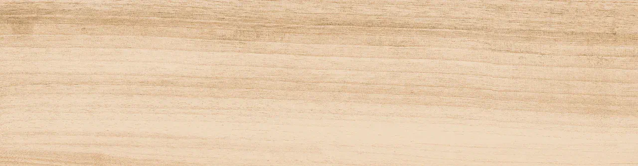 Керамогранит 0045 NATALINA 60х15х08