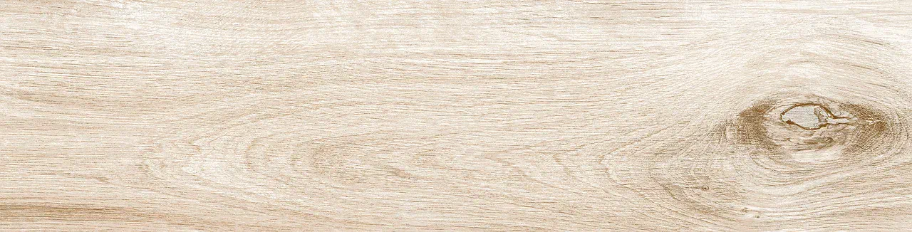 Керамогранит VE 0006 VIENNA 60х15х08