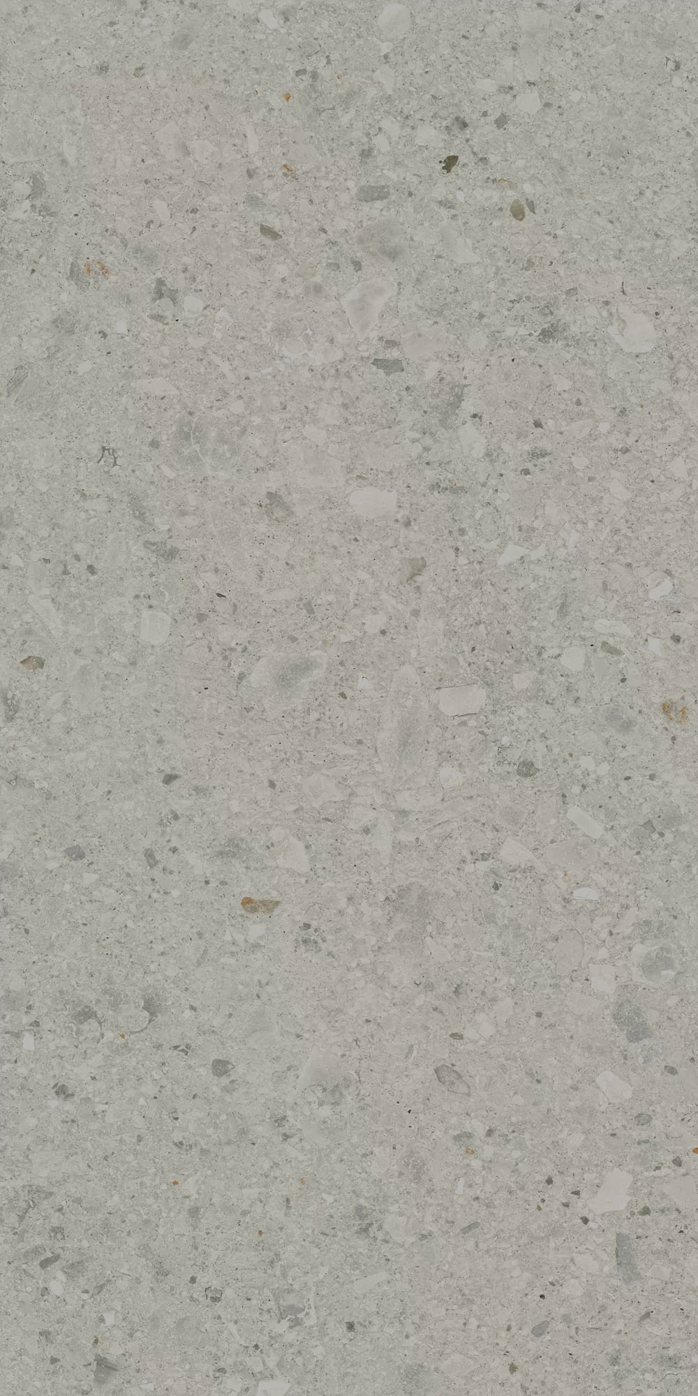 Керамогранит DD591400R Чеппо ди Гре серый матовый обрезной 119,5x238,5x1,1