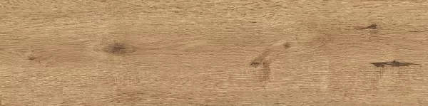 Керамогранит O-CLS-GGA113 Classic OAK Коричневый 22.1x89