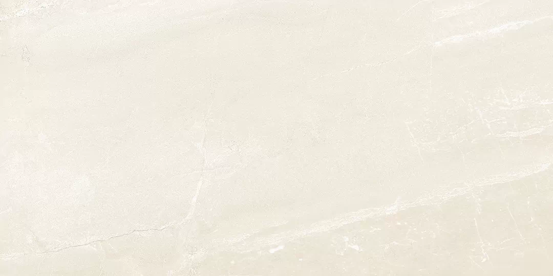 Керамогранит Lumina Bone матовый 60х120