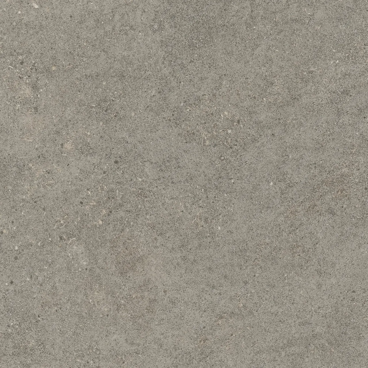 Керамогранит 610010005836 Forte dei Marmi Rock Lunar Grey Lastra 20mm 60x60