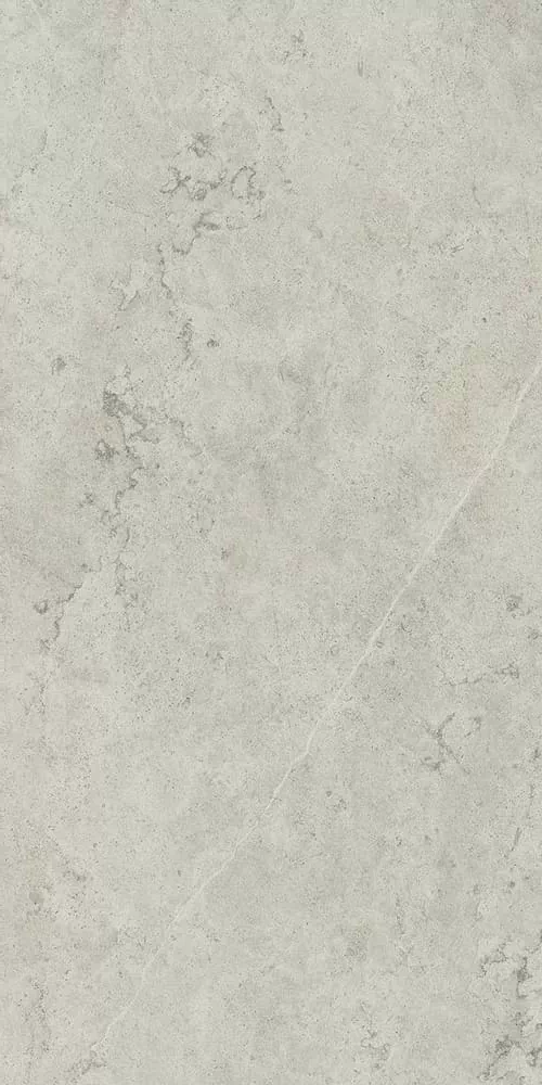 Керамогранит 610010002628 Metropolis Absolut Silver Nat Rett 60x120