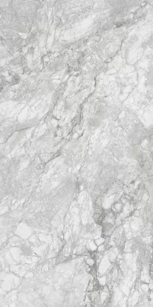 Керамогранит 230167 Polar Grey Polished 60x120