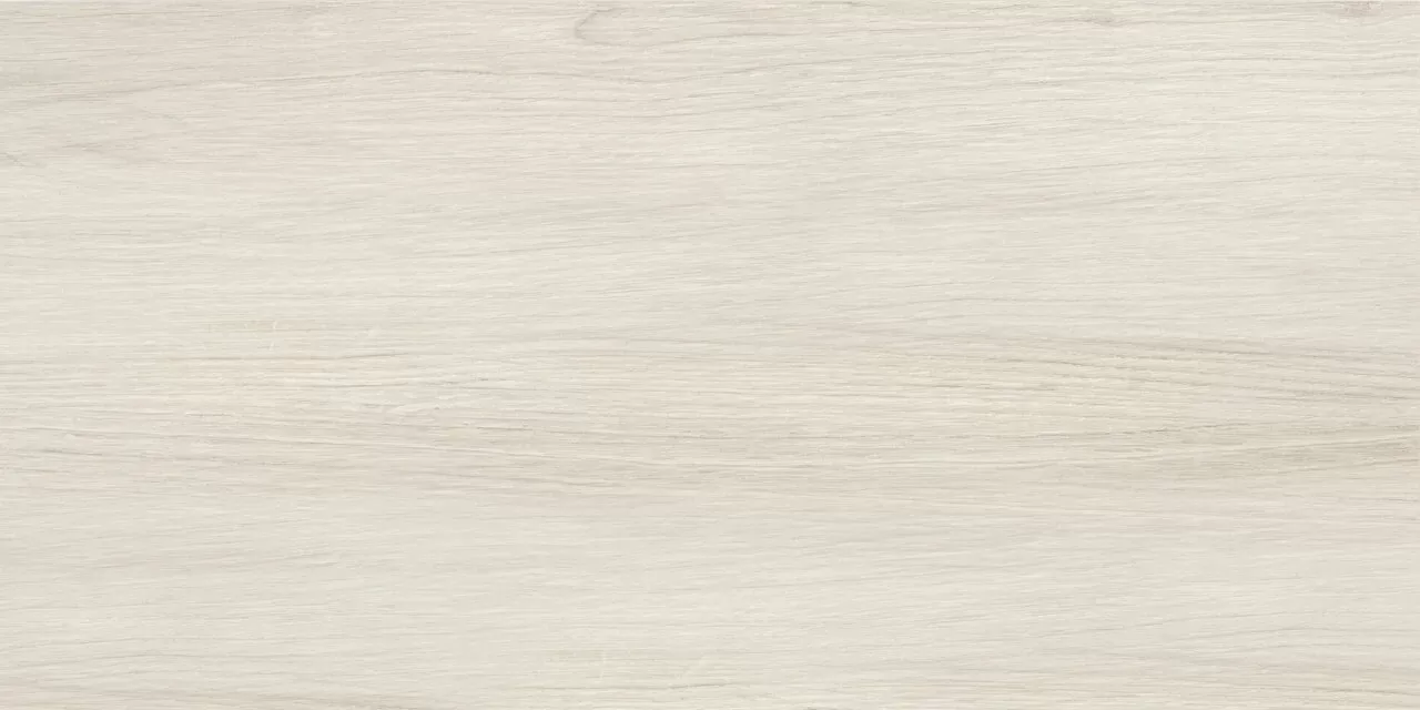 Плитка NRL_P0014 Naomi Wood Gray 30х60