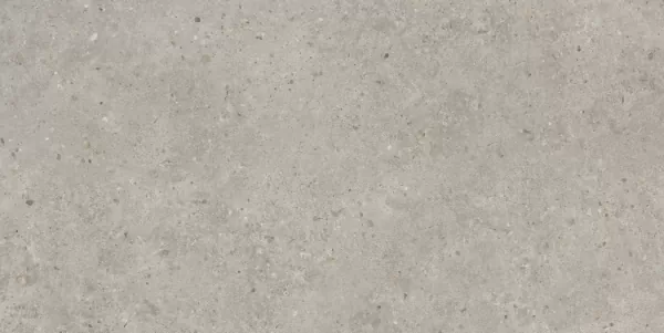 Керамогранит SG519920R Риккарди серый светлый матовый обрезной 60х119,5