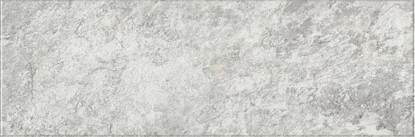 Плитка 616 Image Silver 32,5х100