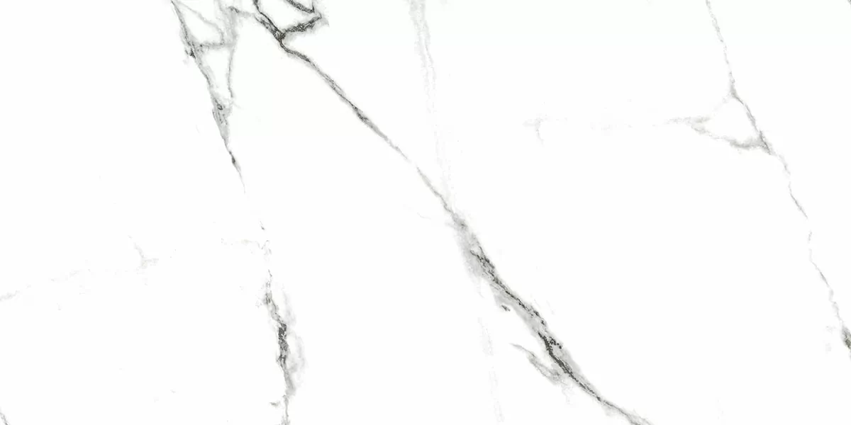 Керамогранит G390 Neiva White MR 60x120